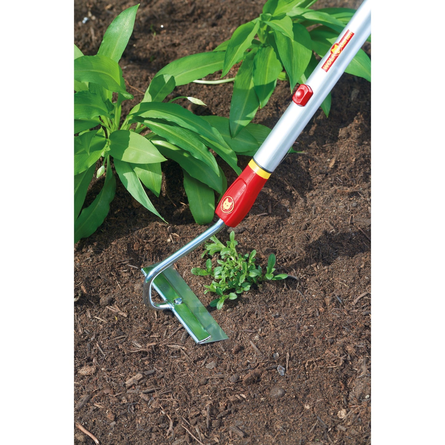 Hu-M15 Hak multi-estrella de Wolf-Garten