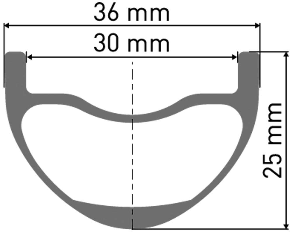 Ruota posteriore DT Swiss XMC 1501 Spline® One 30 Carbon 6 bulloni Boost 29