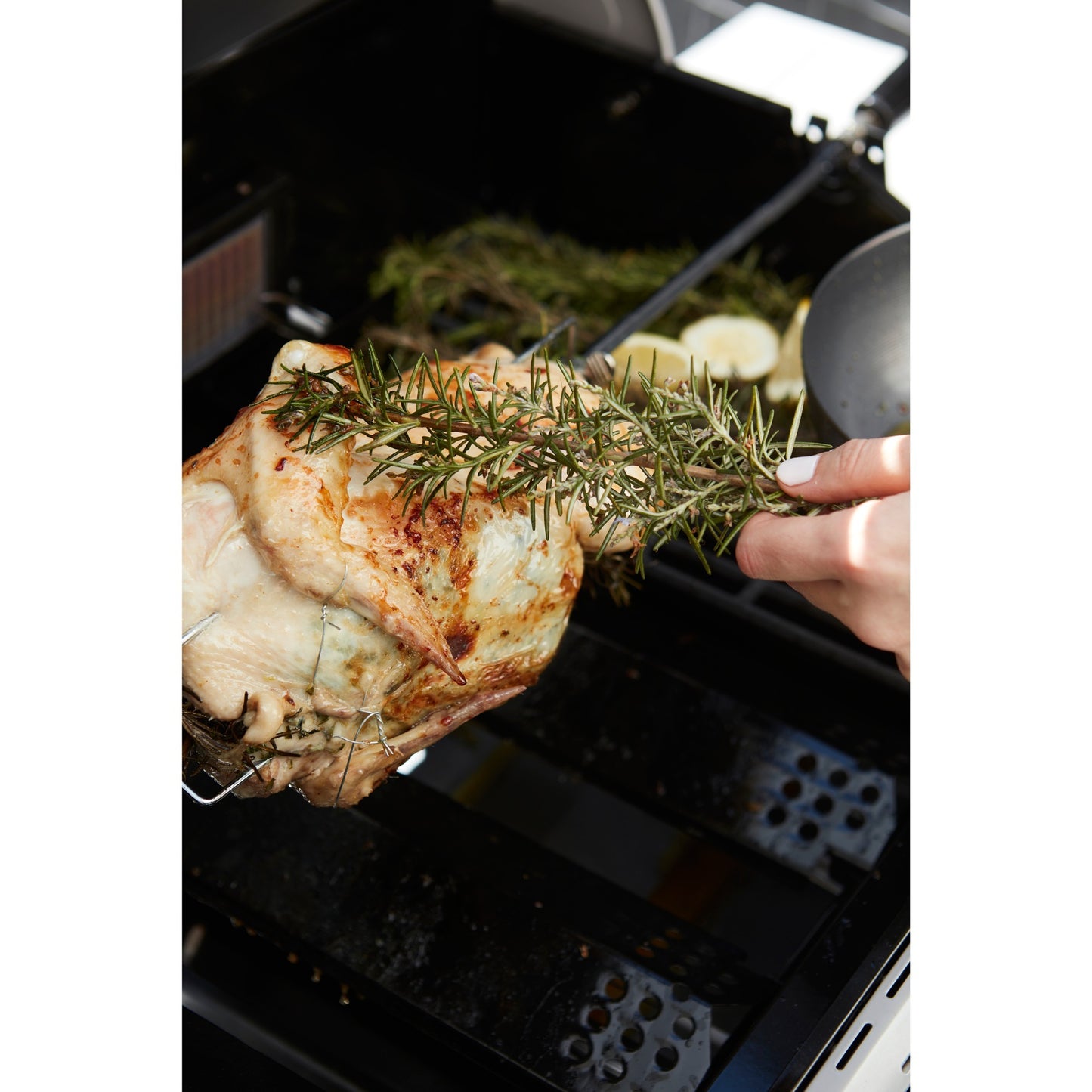 Barbecook Universal Turning Spit con motore per Magnus e Sies