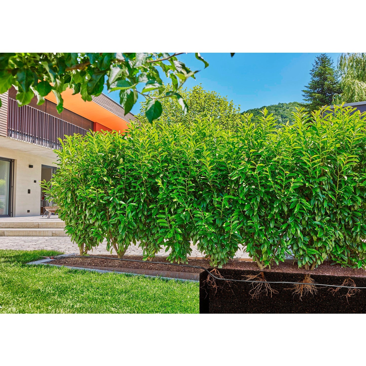 Gardena Drop Tube per siepi di cespugli (50 m)