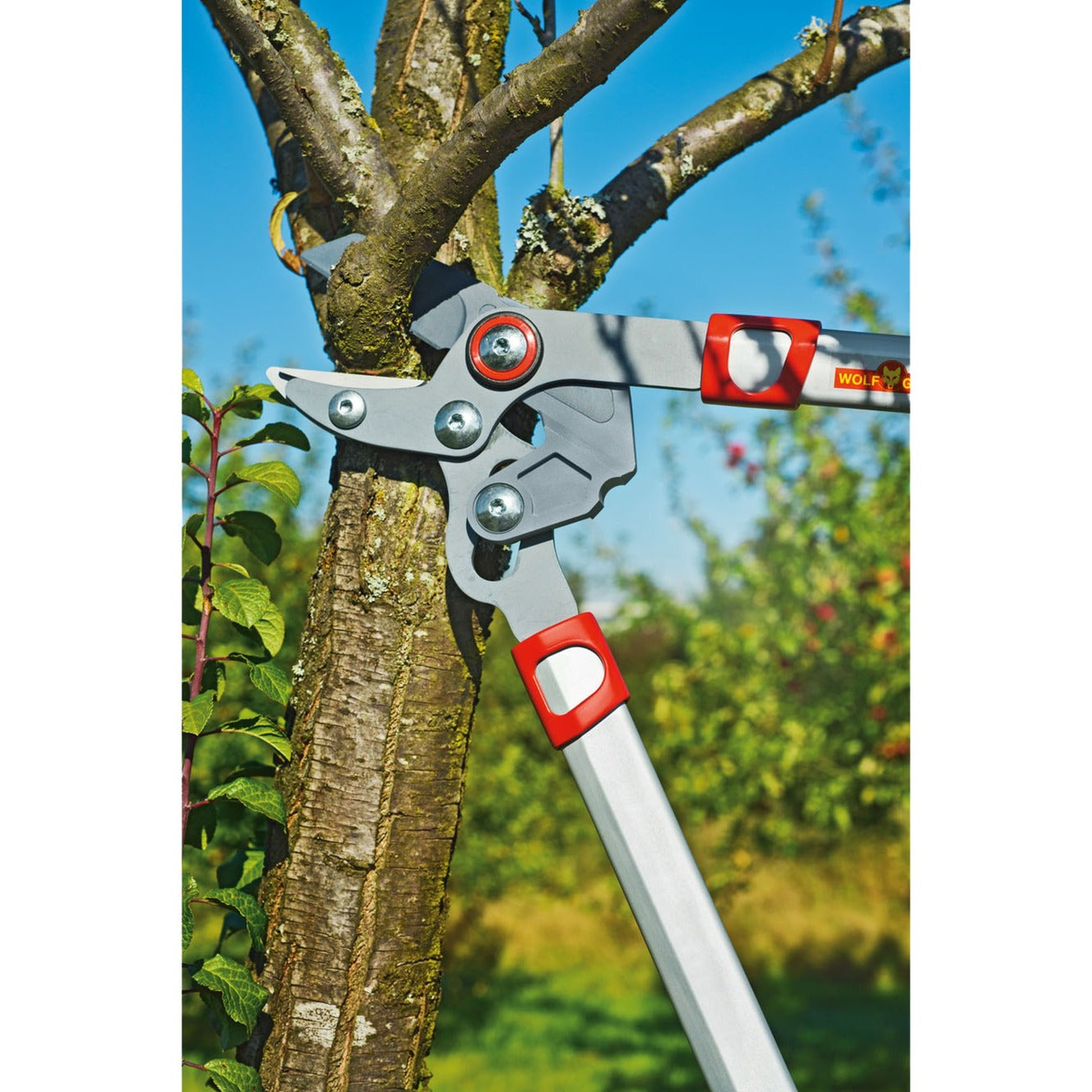 Wolf-Garten Branches Basic Plus Cut* Rs 650