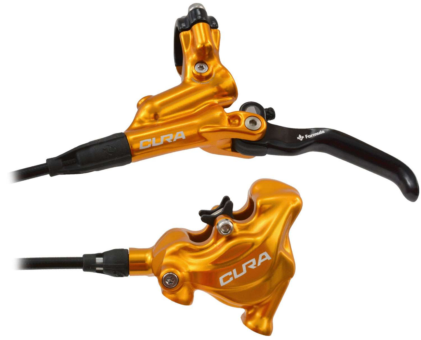 Montatura piatta Formula cura - oro