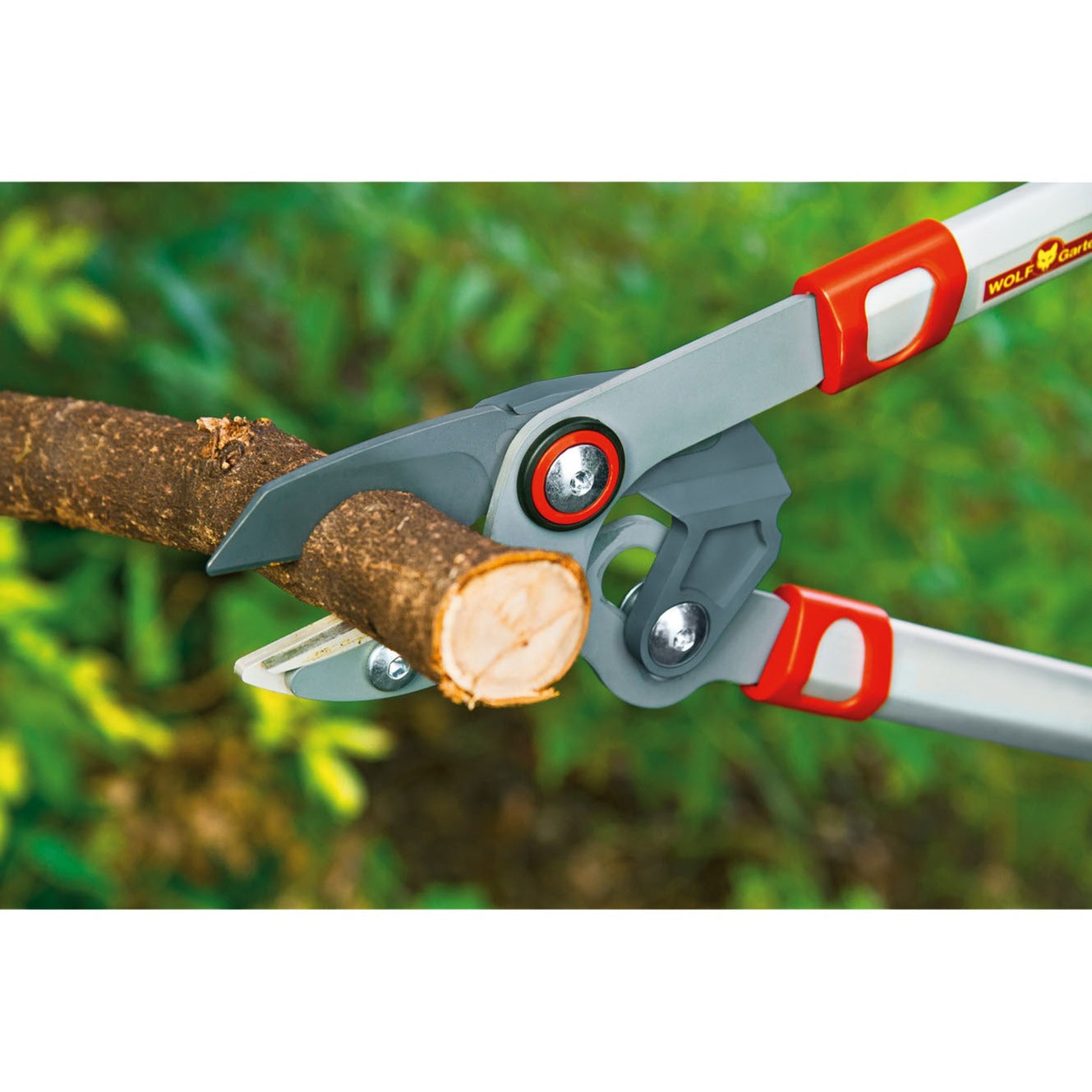 Wolf-Garten Branches Comfort Plus Cut Cut ** Rs 750