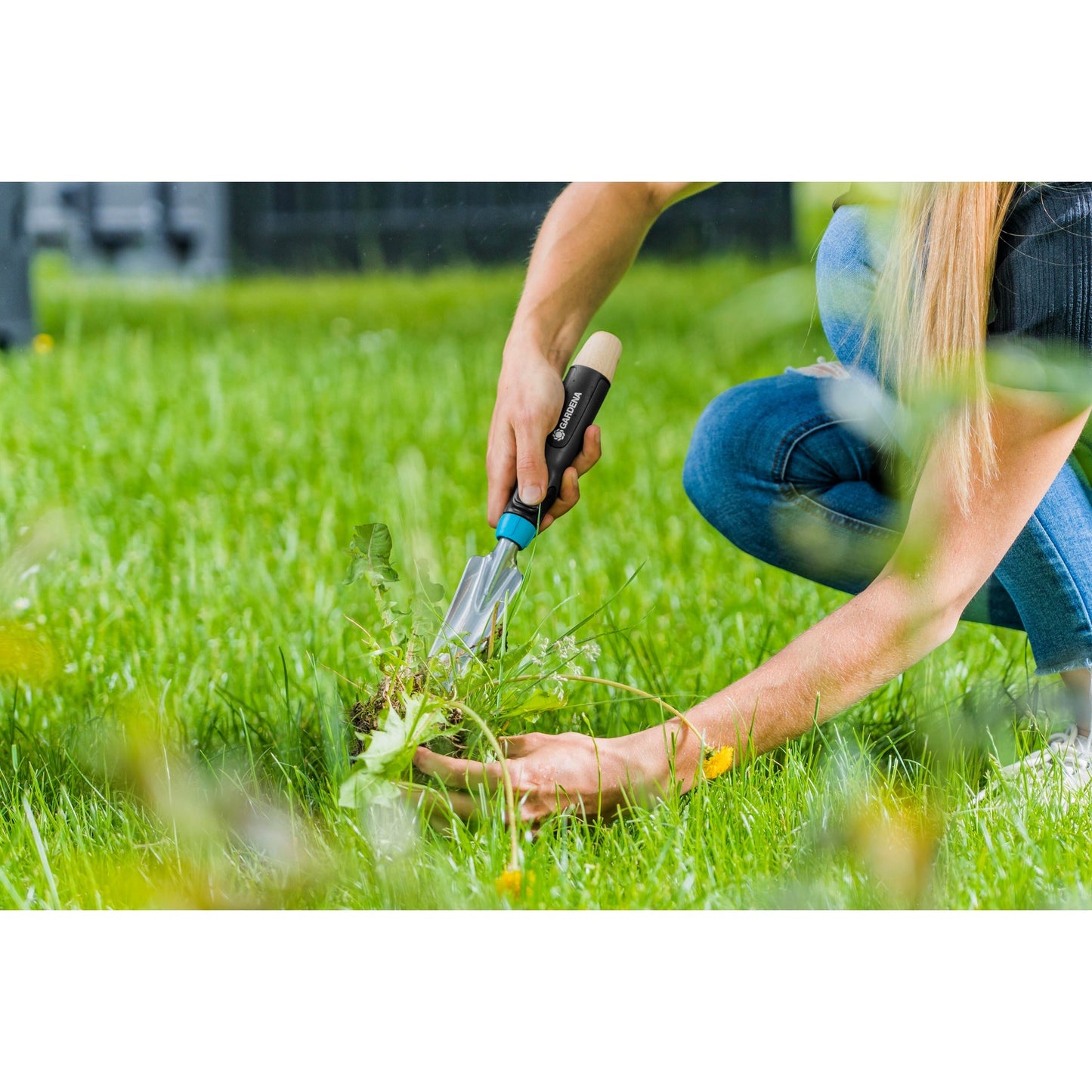 Plug dell'erba Ecolina Gardena