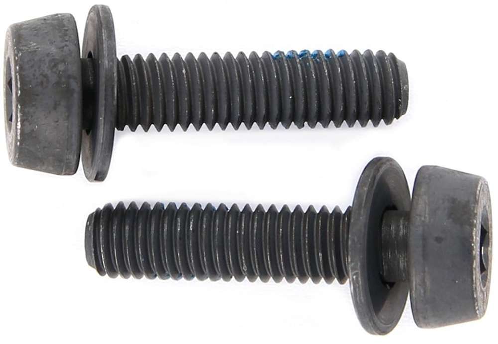 Bulloni di montaggio Campagnolo per freni a disco (confezione da 2)