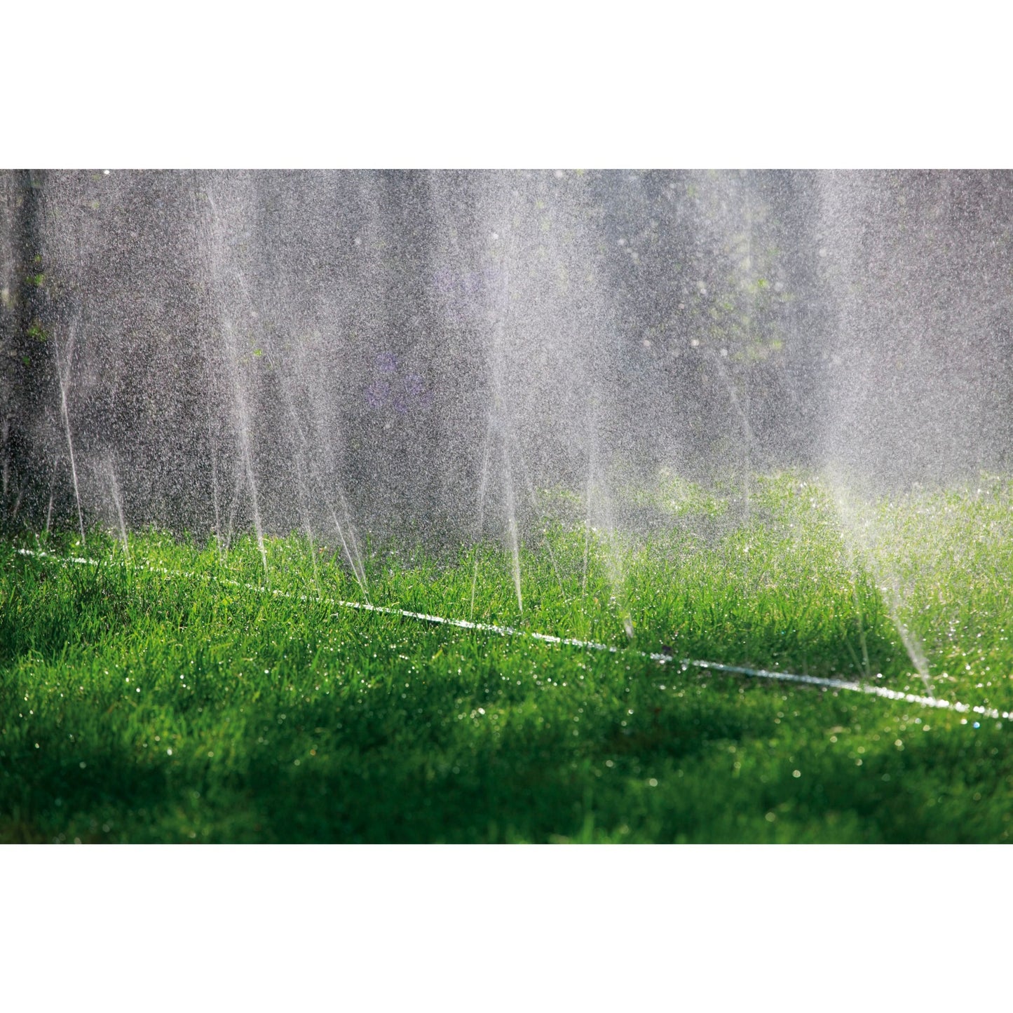 Snake spruzzatore di gardena