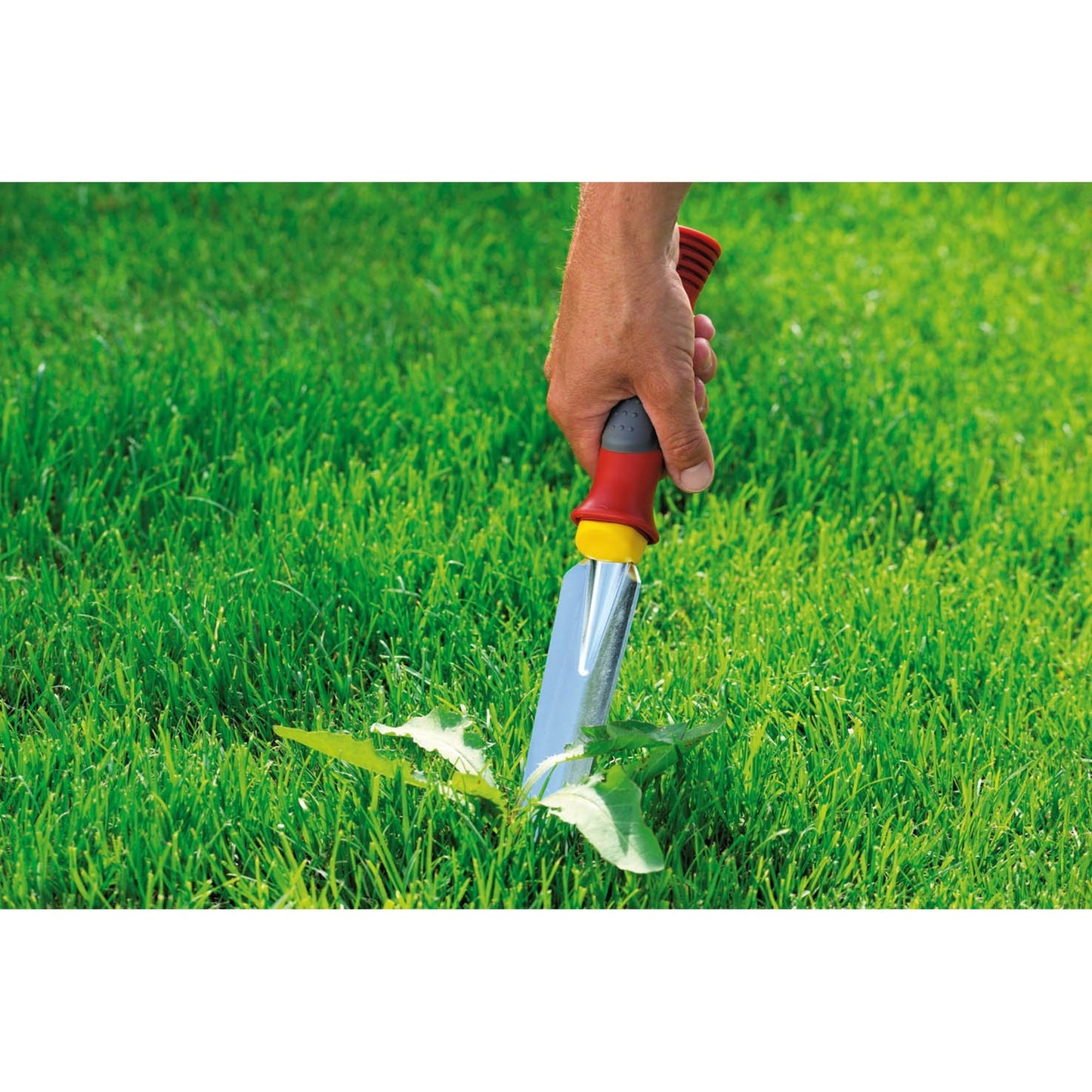 Plug-Wolf-Garten KS-2K Weed