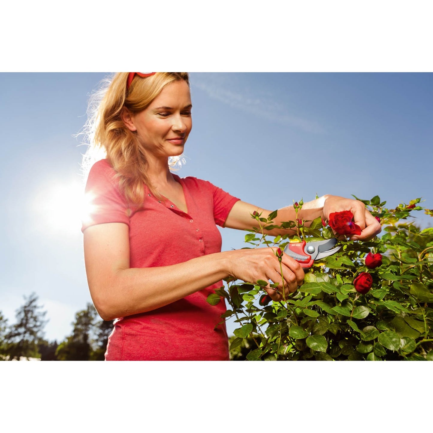 Wolf-Garten RR 4000 Puner Premium Plus