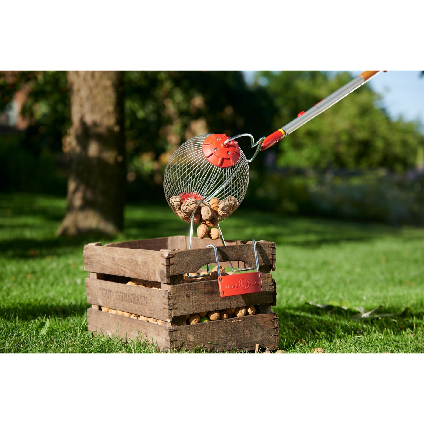 Collector de frutas de Wolf-Garten FC-MS