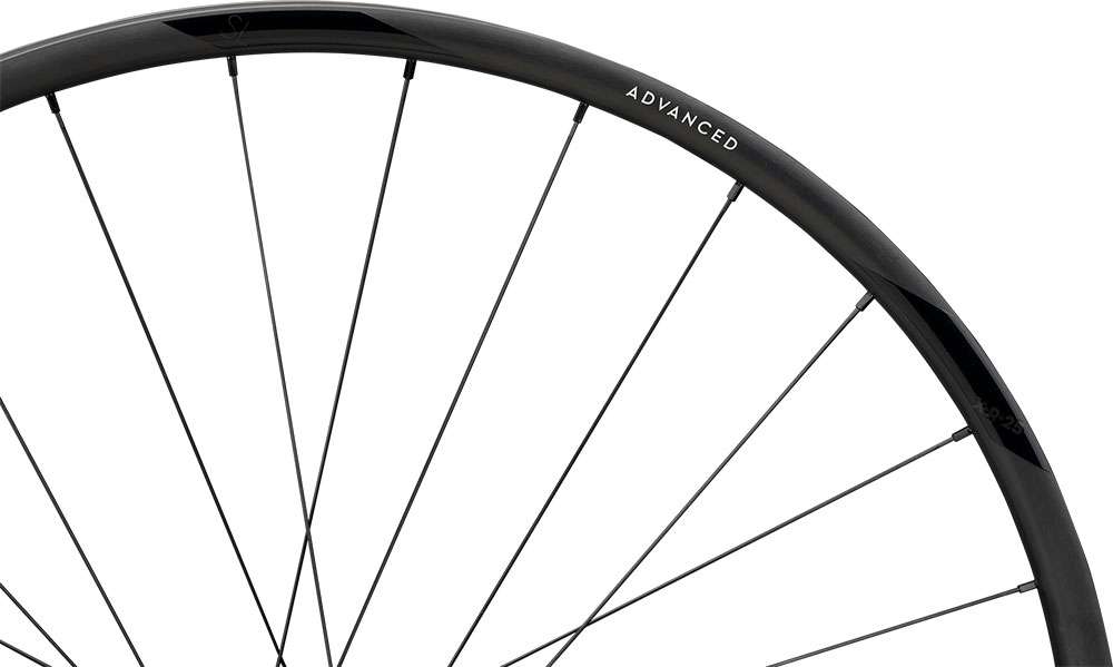 Rueda trasera Newmen advanced sl x.r.25 cl fade r 29