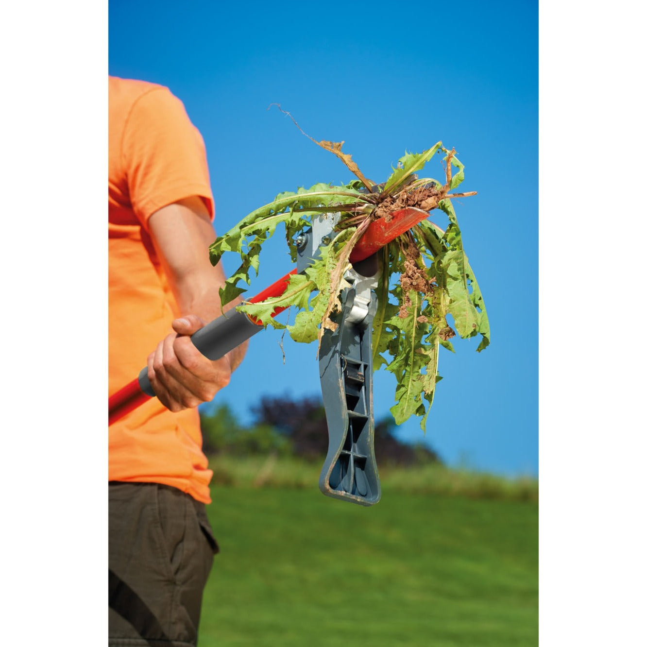 Plug dell'erbaccia Wolf-Garten IW-A