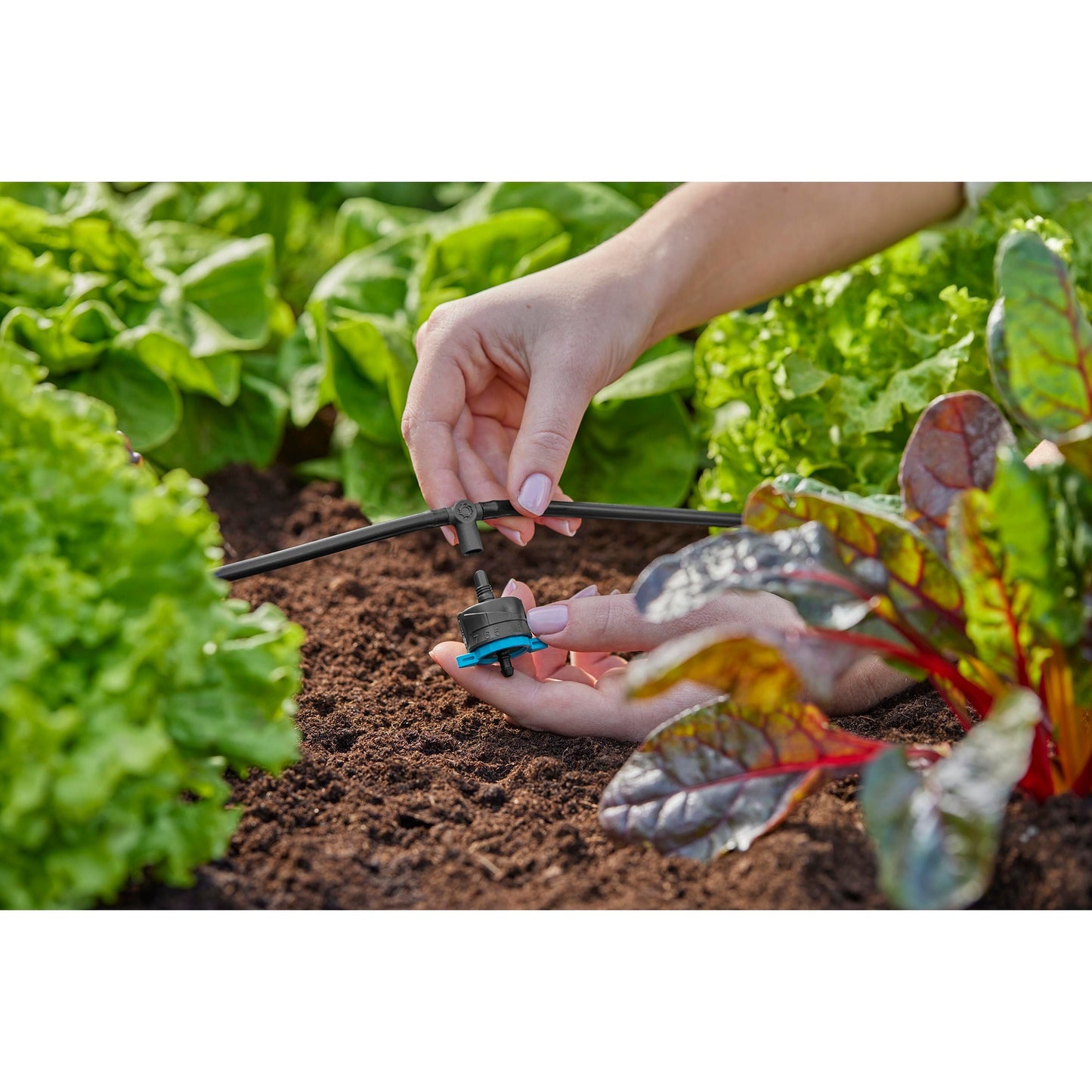 Gardena t-stuk voor sproeiers einddruppelaars 4,6 mm (3 16 ) verbinding (donkergrijs, 5 stuks)