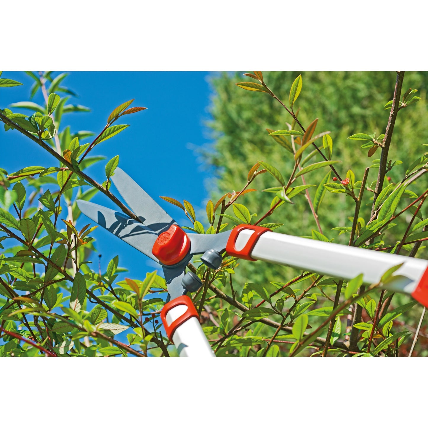 Telescopio HS 1000 t scissori siepe-garten hs 1000 t