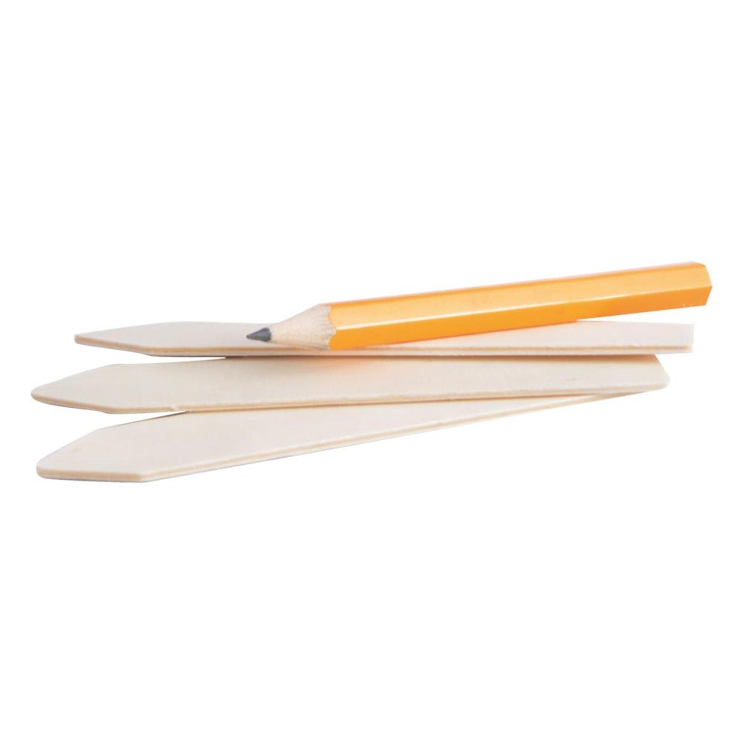 Frielitz Esschert design 40 etichette per piante in legno