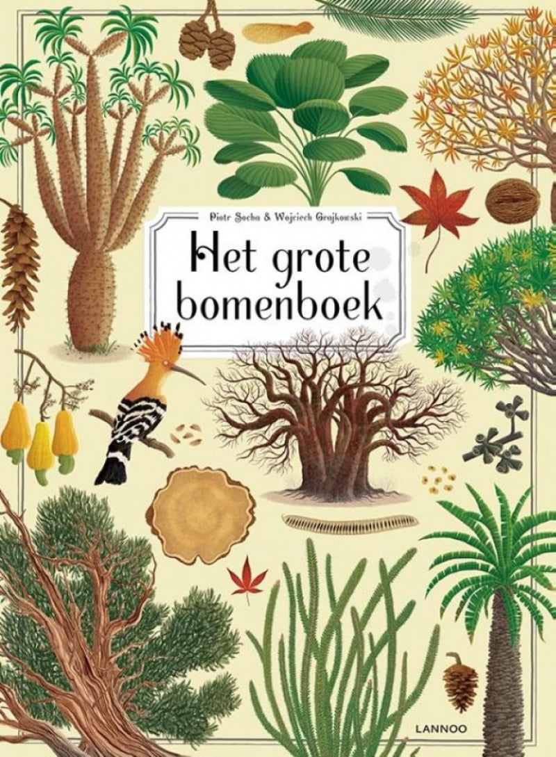 Carte orali il grande libro degli alberi