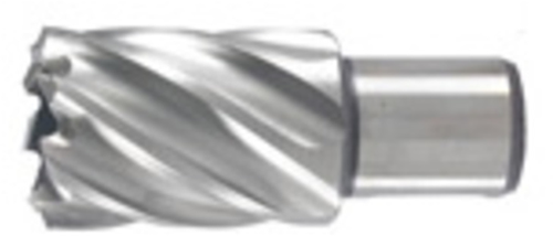 Hikoki accesorios perforadora 22x30 mm - 754411