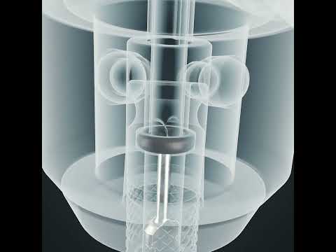 Schwalbe Inner Tube SCV7 20 40 62-406 40mm