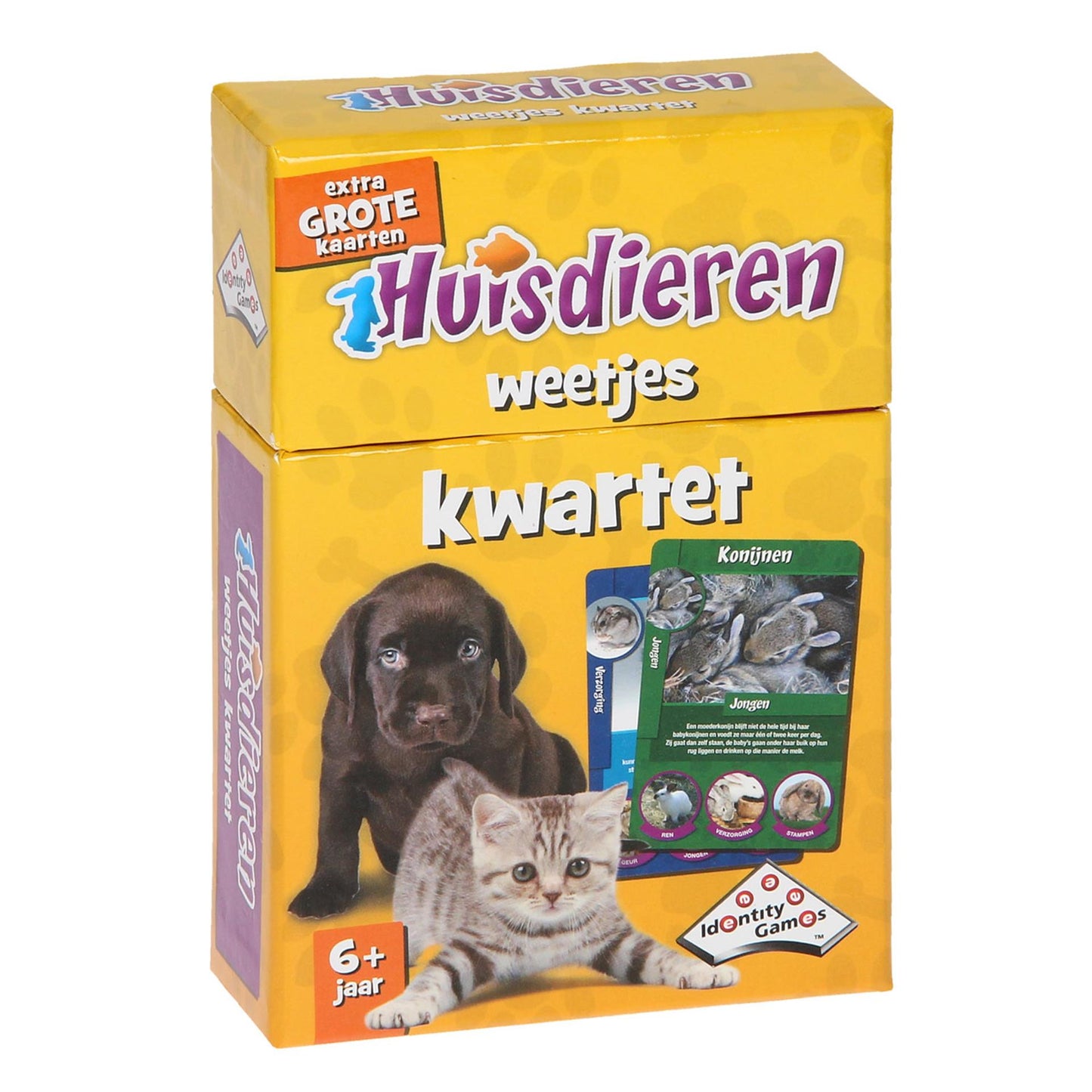 Giochi di identità idgames fatti quartetto di animali domestici