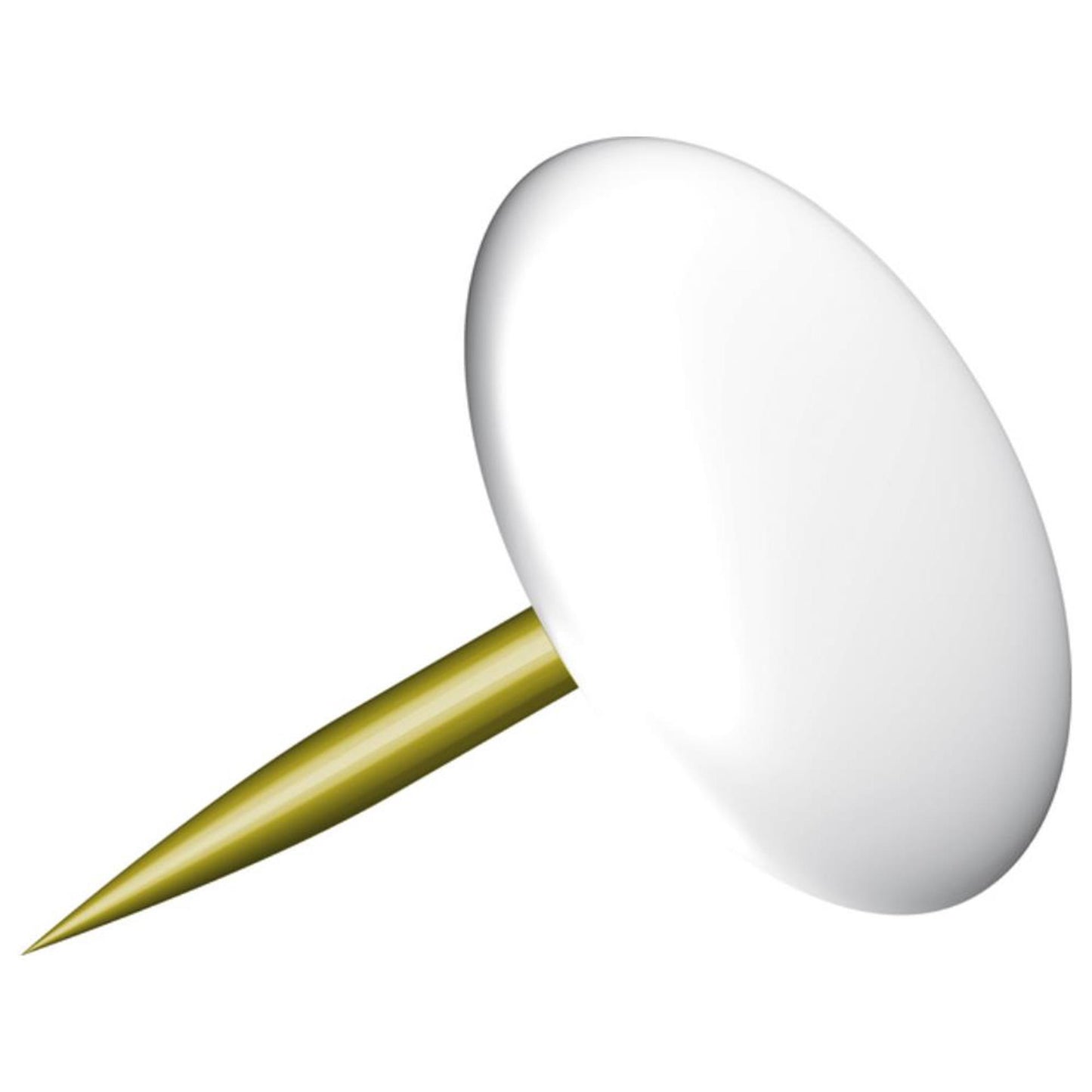 Chinchetas blancas caja de 100 piezas