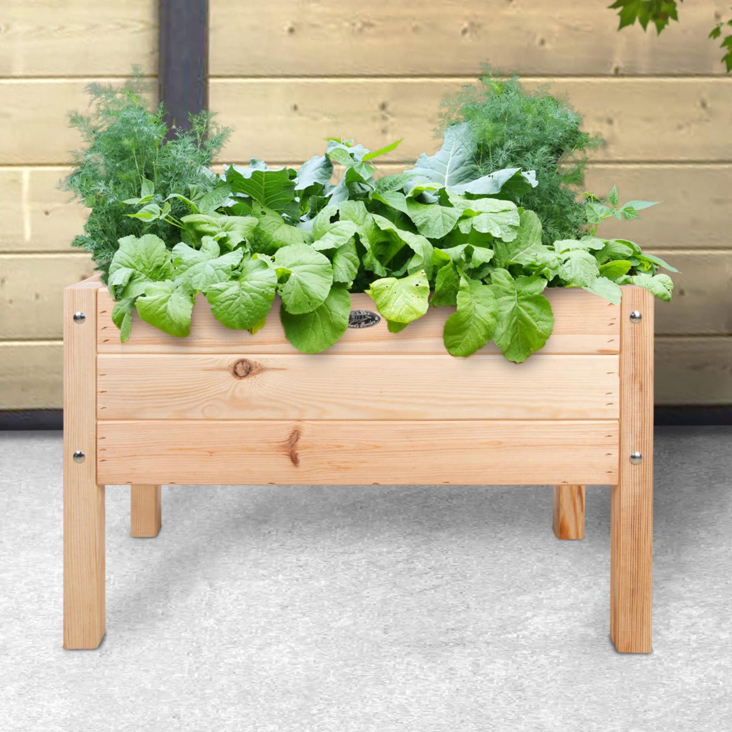 Esschert design mesa de cultivo infantil madera