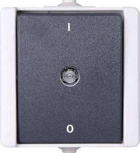 Kopp swd interruptor de superficie de 2 polos - 6628020