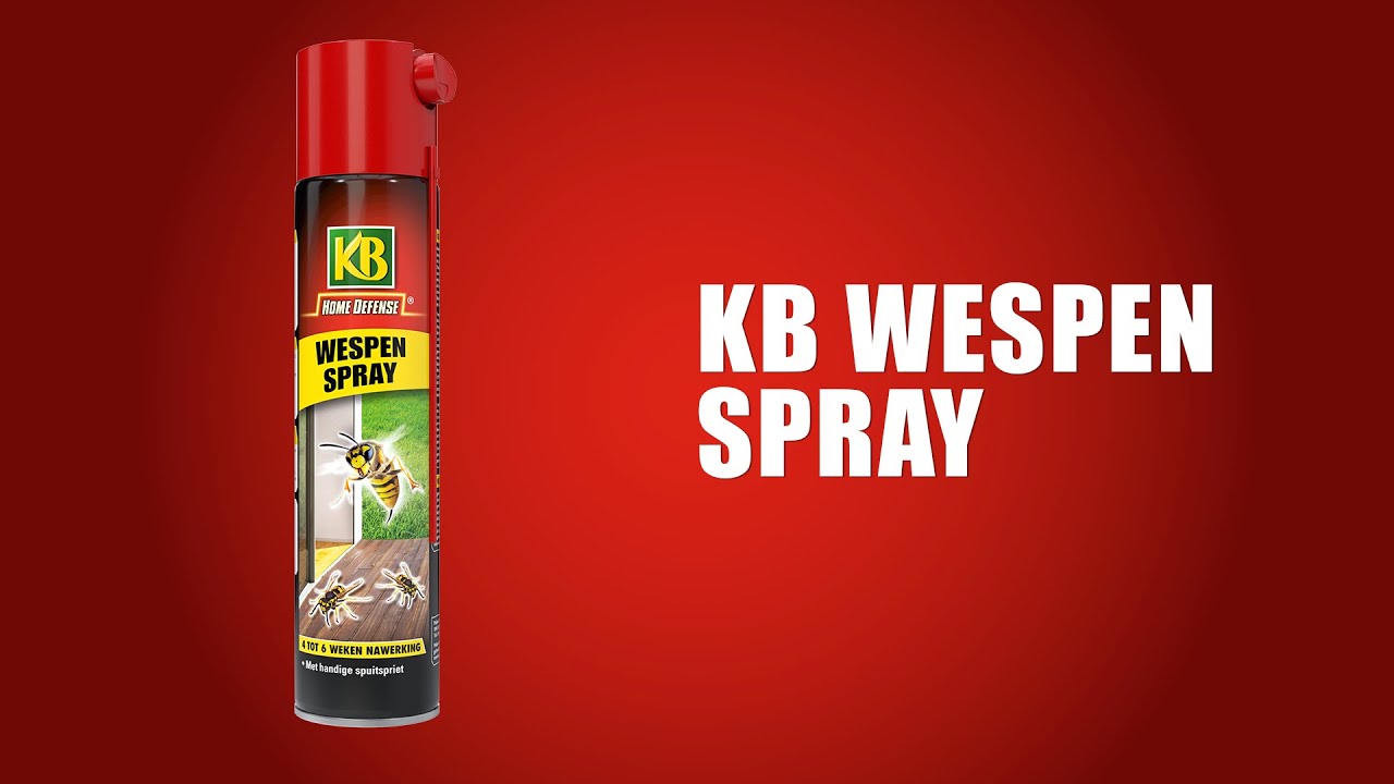 Kb control kb spray avispa 400ml