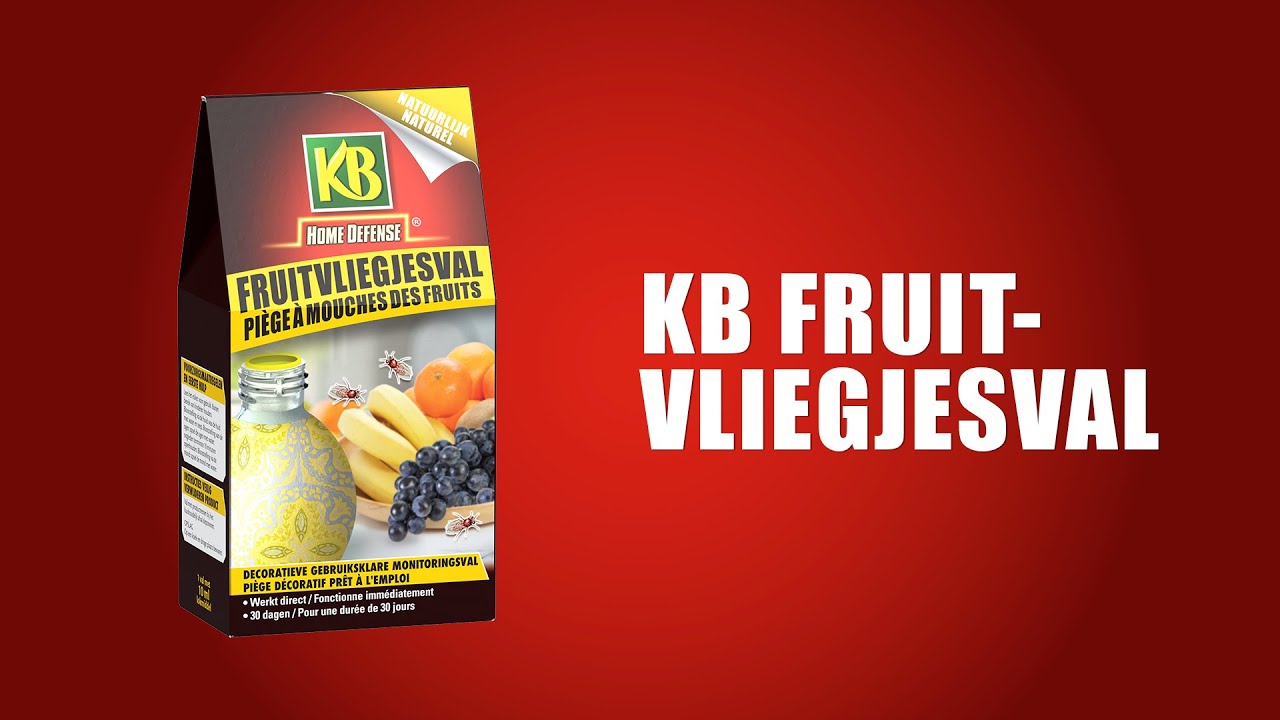 Kb controllo Kb trappola per mosche della frutta 1a