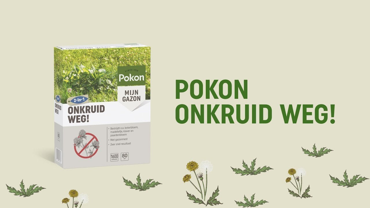 Pokon diserbante 80 m2 1600 gr