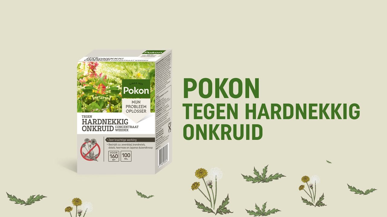 Pokon contra las malas hierbas rebeldes concentrado 100ml weedex