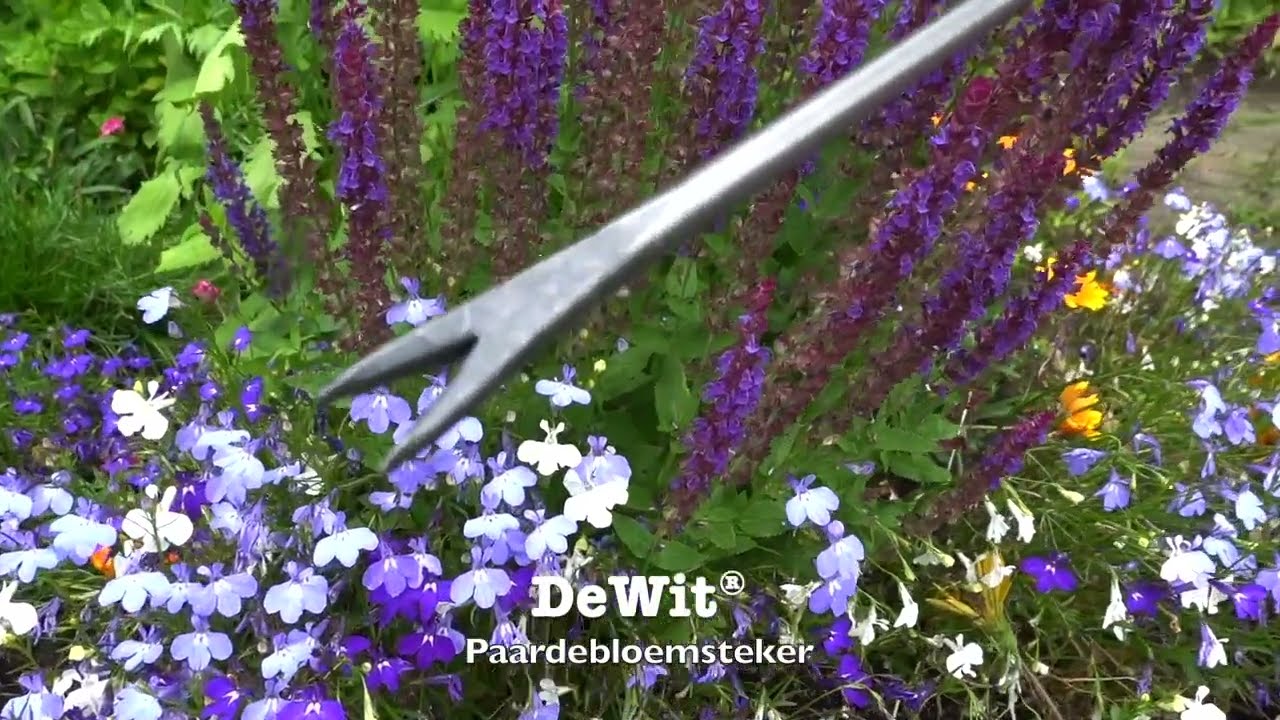 De wit producten paardenbloemsteker essen handvat 140mm dewit