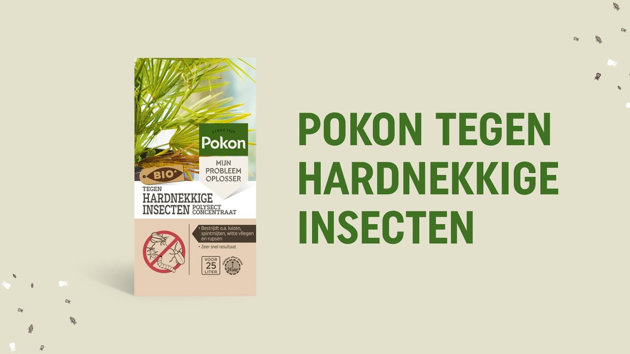 Pokon bio contra insectos persistentes concentrado 175ml poli