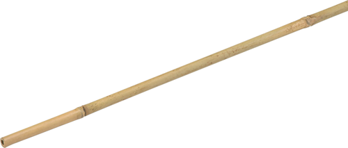 Meister planta palo bambú 180cm - wu9966460