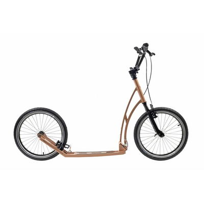 Mibo reale 20 20 salmone