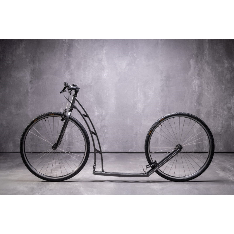 Antracita turística de Mibo