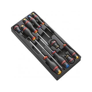 Modulo Facom 10 cacciaviti sezione