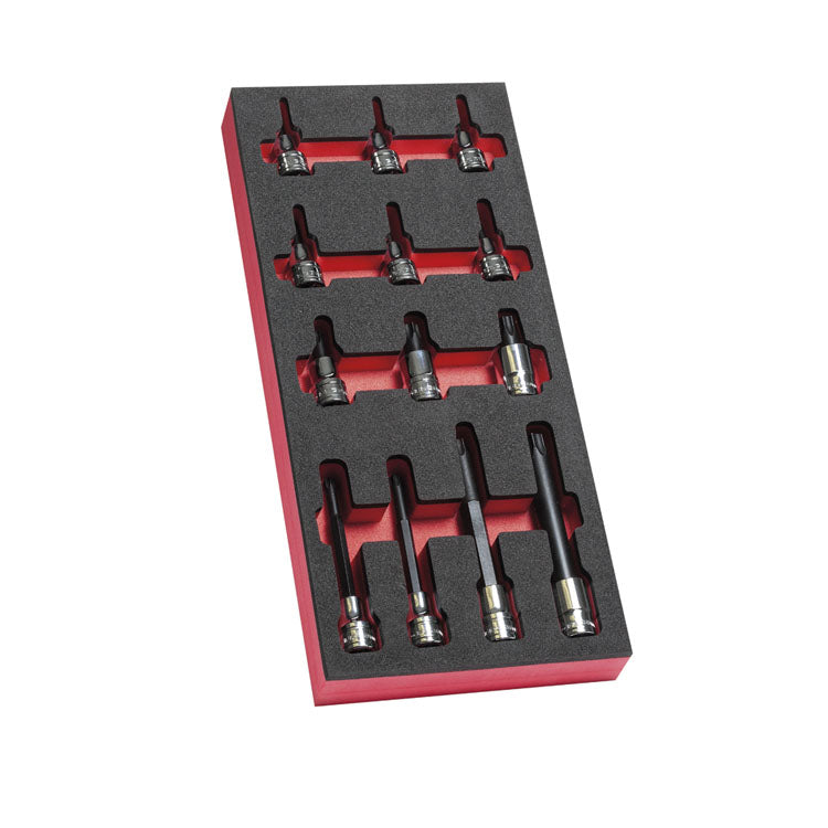 Modulo cacciavite bussole Facom 1 2 torx - modm.sxm