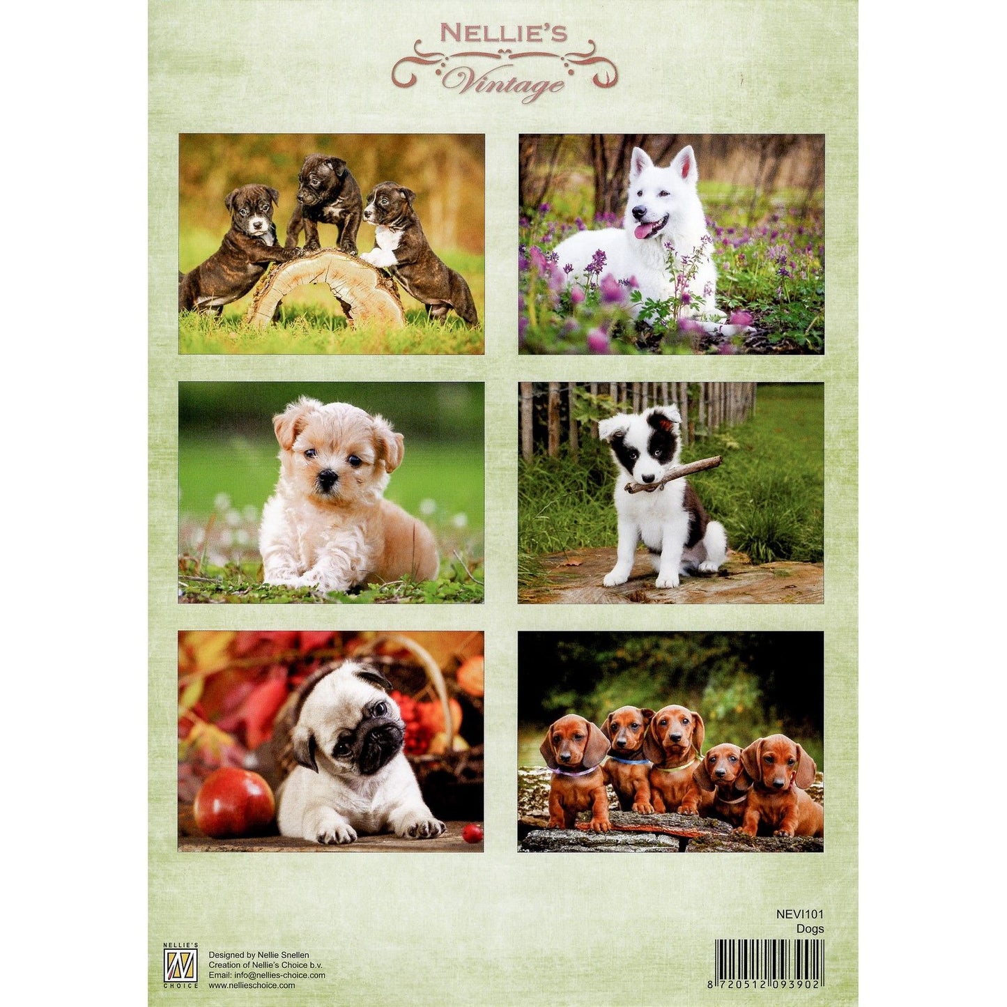Nellie's choice • vintage knipvel vel dogs a4