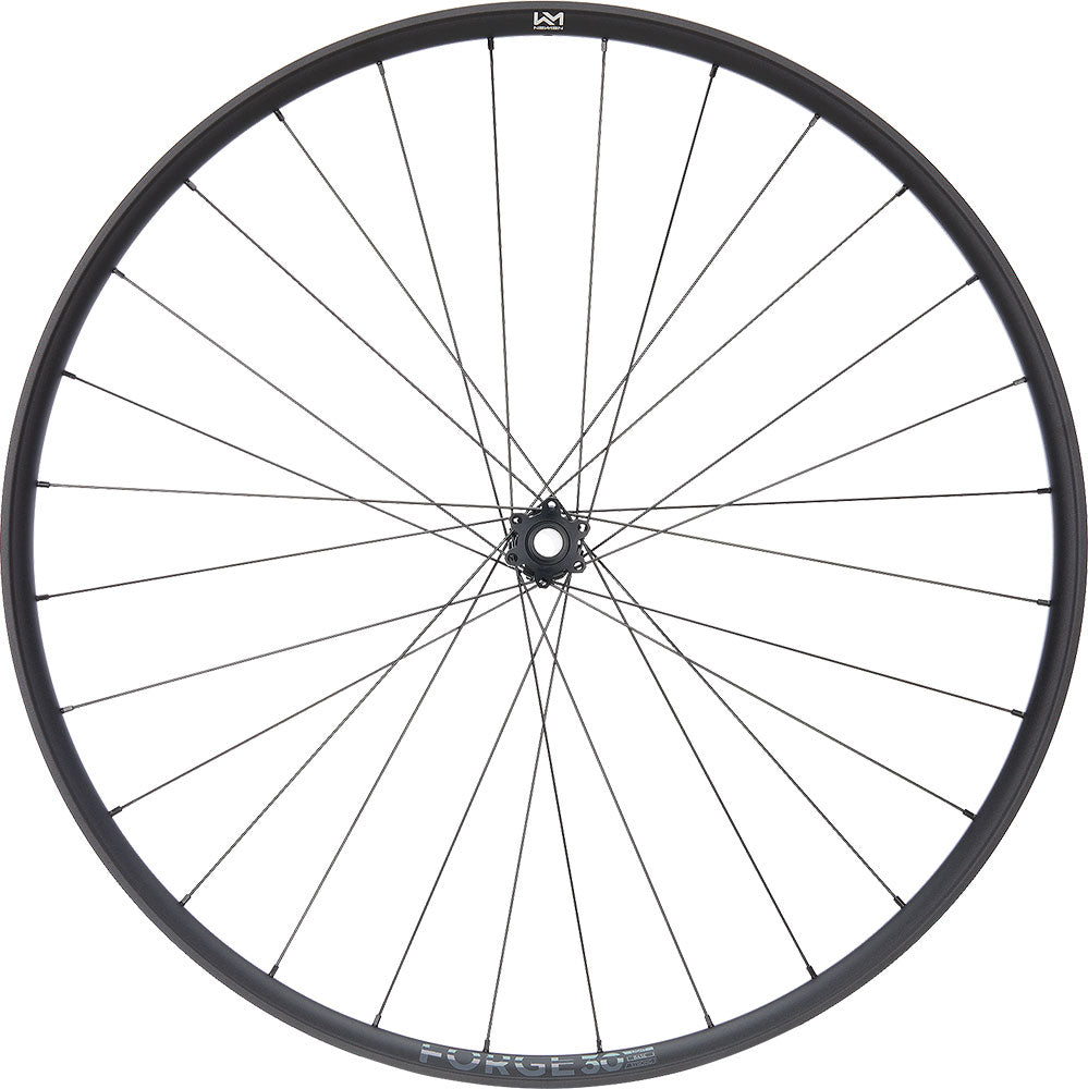 Newmen forge 30 base trail 29 ruota anteriore sfumata 15x110 a 6 bulloni