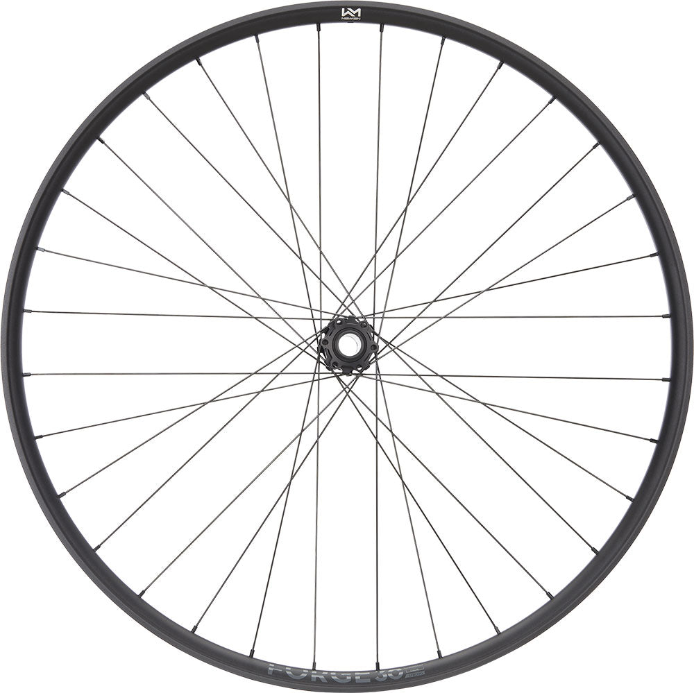 Rueda delantera Newmen forge 30 strong enduro 29 6 tornillos 15 20x110 fade