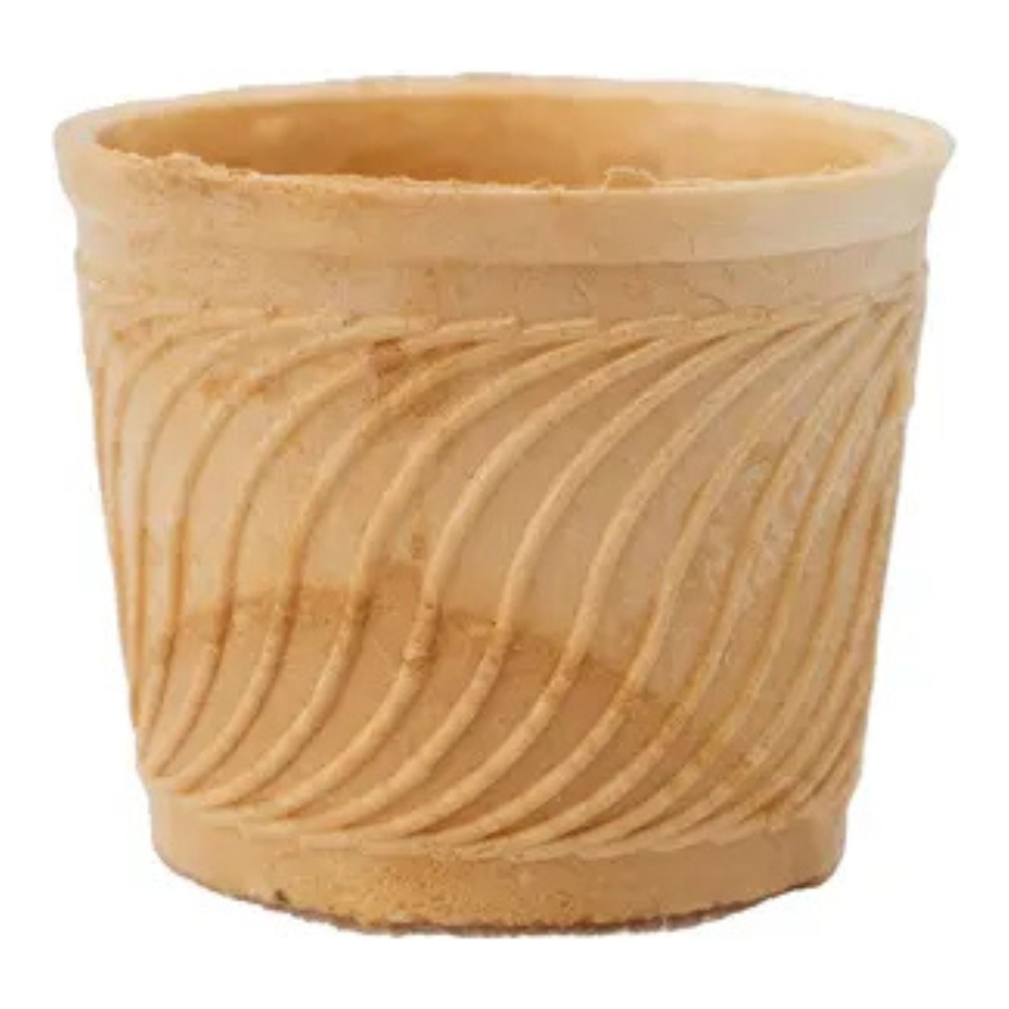 Cuenco comestible Njoy (204x 150cc)