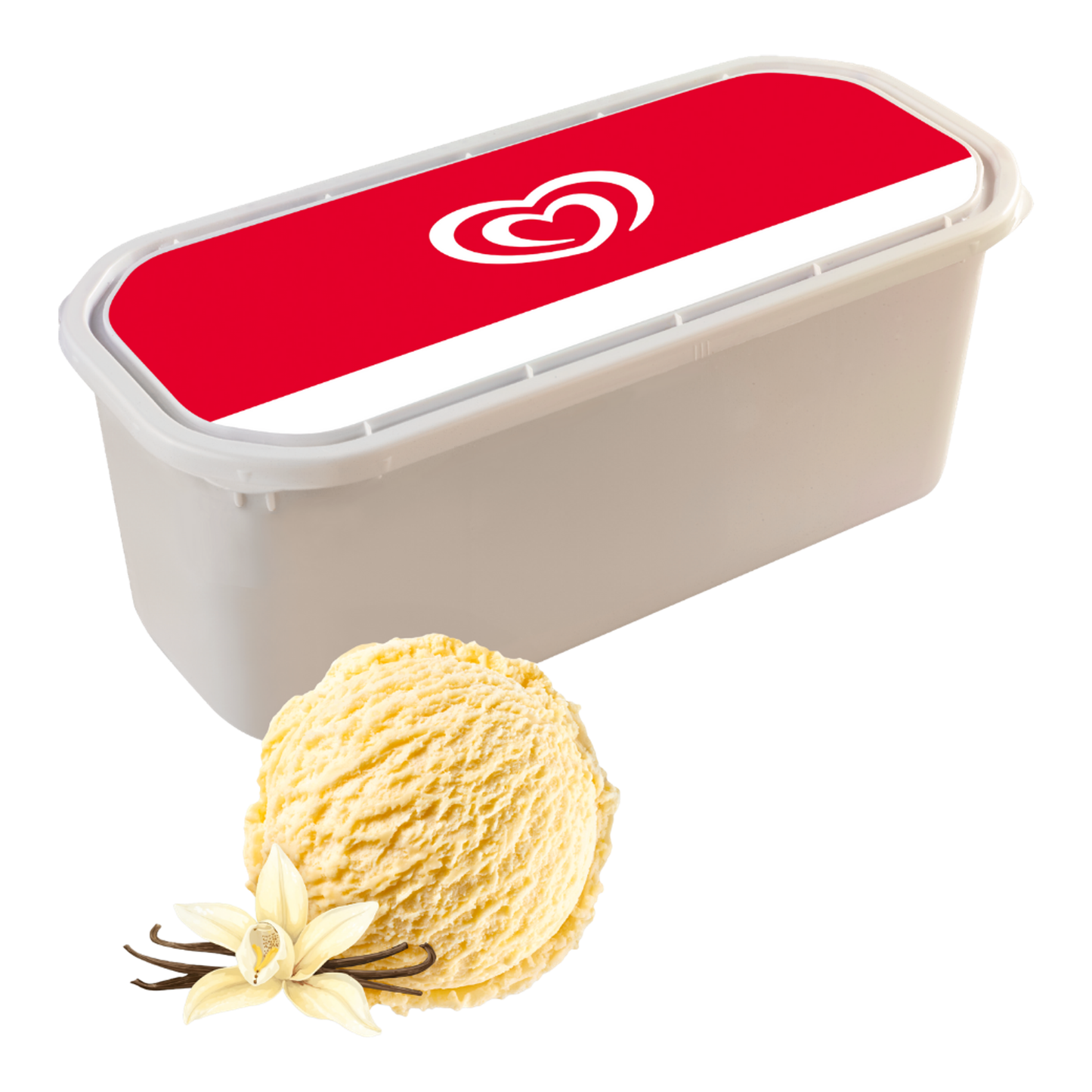 Gelato alla vaniglia Ola (5 litri)
