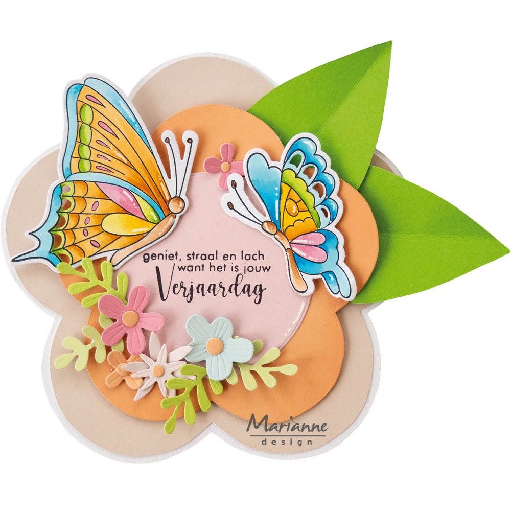Marianne design • producto ranúnculo surtido