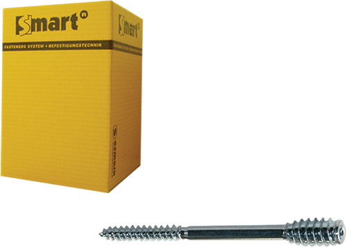 Pgb-europe smart | afstandschroef t-drive t25 ø 6x100 zn | 50 st - sm0ssc0010601003