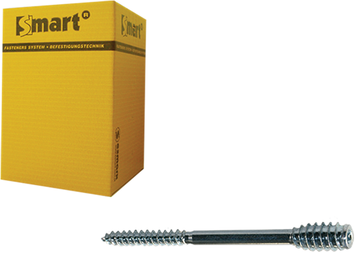 Pgb-europe smart | afstandschroef t-drive t25 ø 6x250 zn | 25 st sm0ssc0010602503