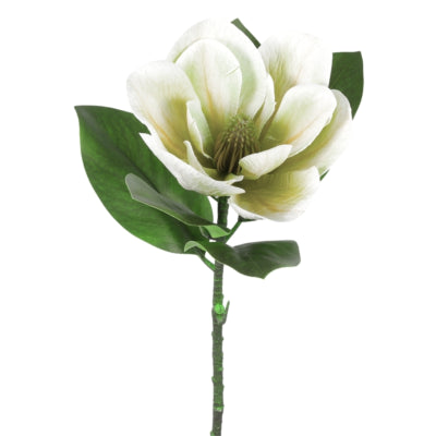 Fiore artificiale Countryfield magnolia bianca 65 cm | 12 pezzi