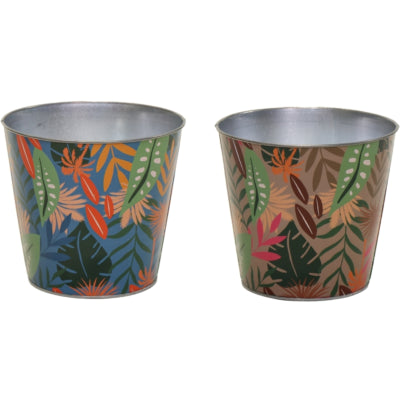 Maceta bob Jungle l 15 cm 2 surtidos | 12 piezas