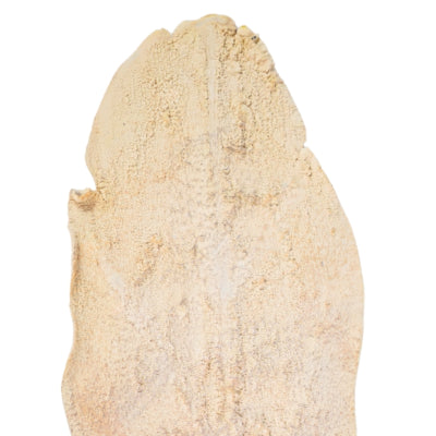 Ramo artificiale foglia di palma beige 103 cm | 12 pezzi
