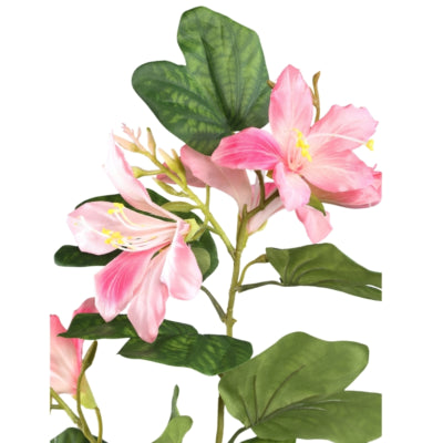 Ptmd fiore artificiale Bauhinia rosa 85 cm | 6 pezzi