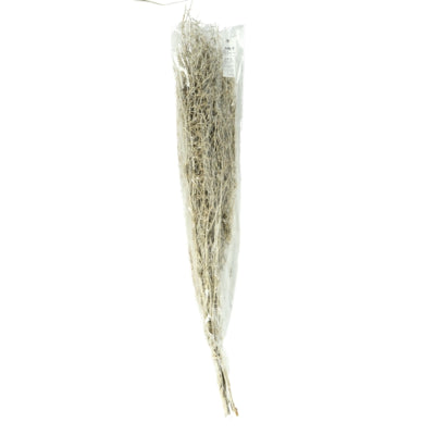Manojo de hierba de chile seca blanca 85-95 cm | 24 piezas