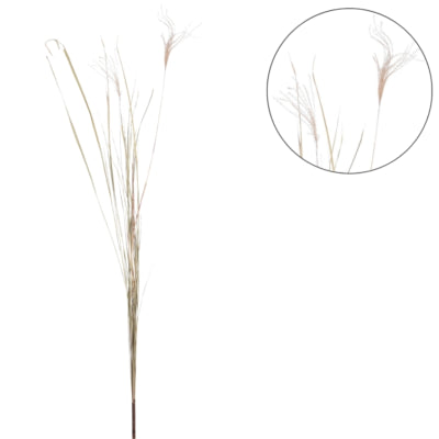 Ramo secco pampa naturale 150 cm | 10 pezzi
